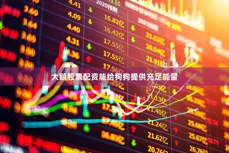 大额股票配资能给狗狗提供充足能量