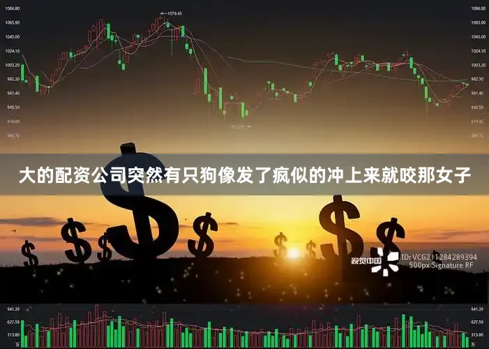 大的配资公司突然有只狗像发了疯似的冲上来就咬那女子