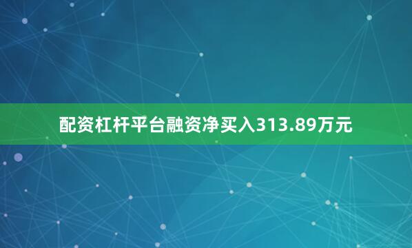 配资杠杆平台融资净买入313.89万元