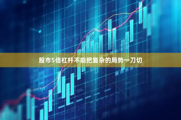 股市5倍杠杆不能把复杂的局势一刀切